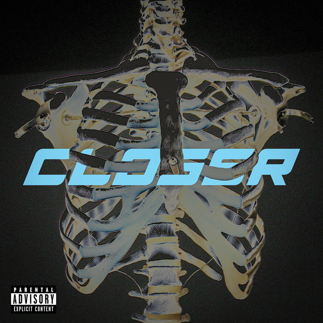 Closer cover